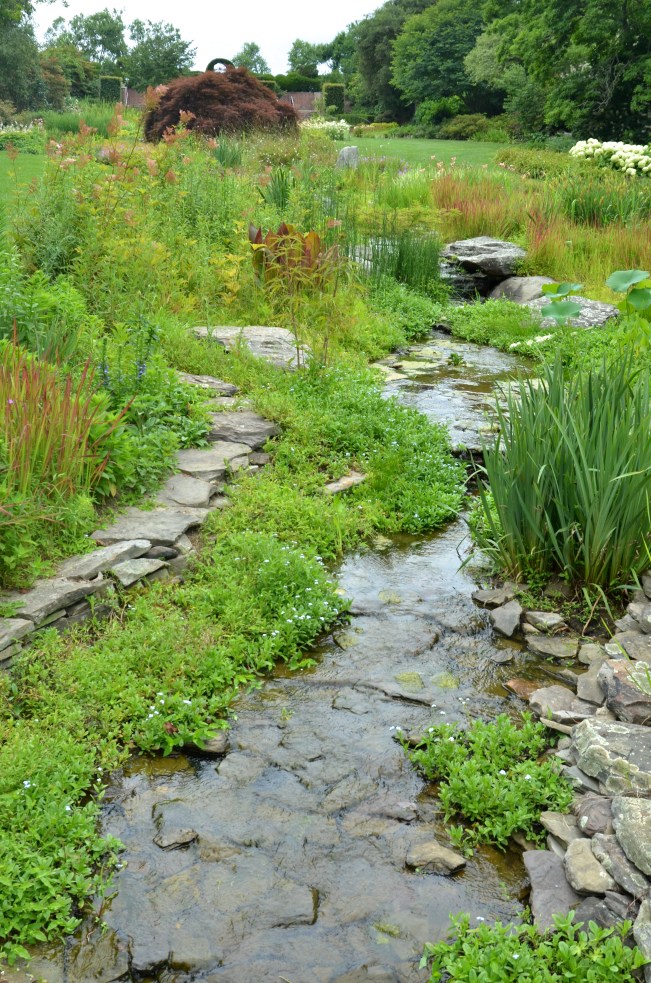 The Iris garden at Ladew Topiary Garden