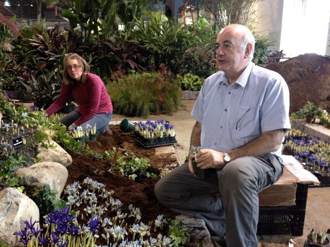 John and Nesta from Jacques Amand bulb display