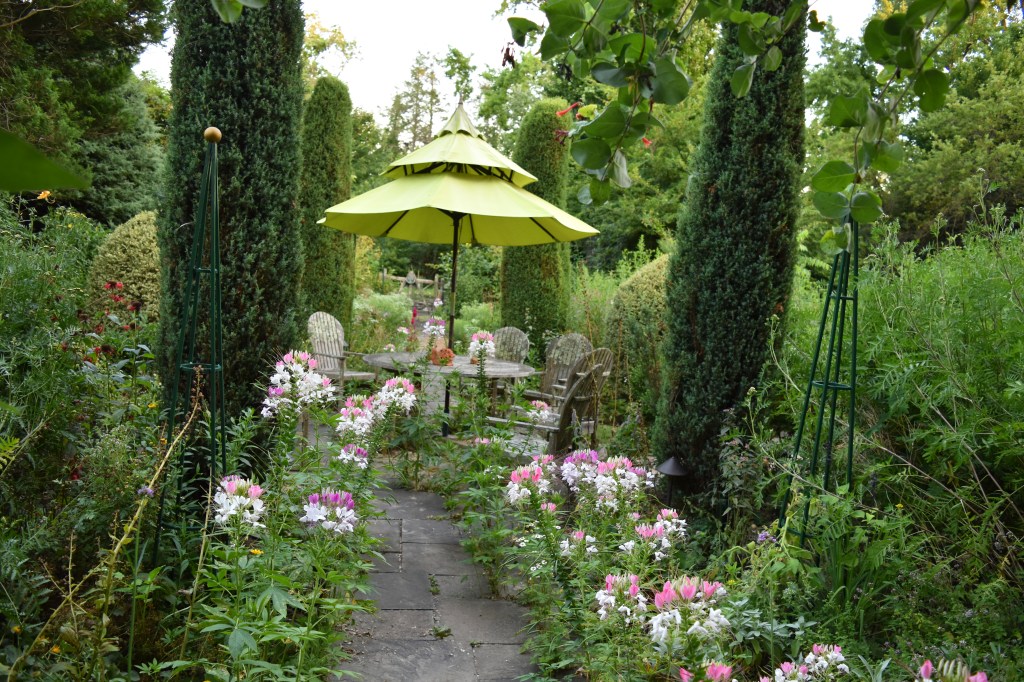 Pink and white flowers line a stone path in a summer herb garden