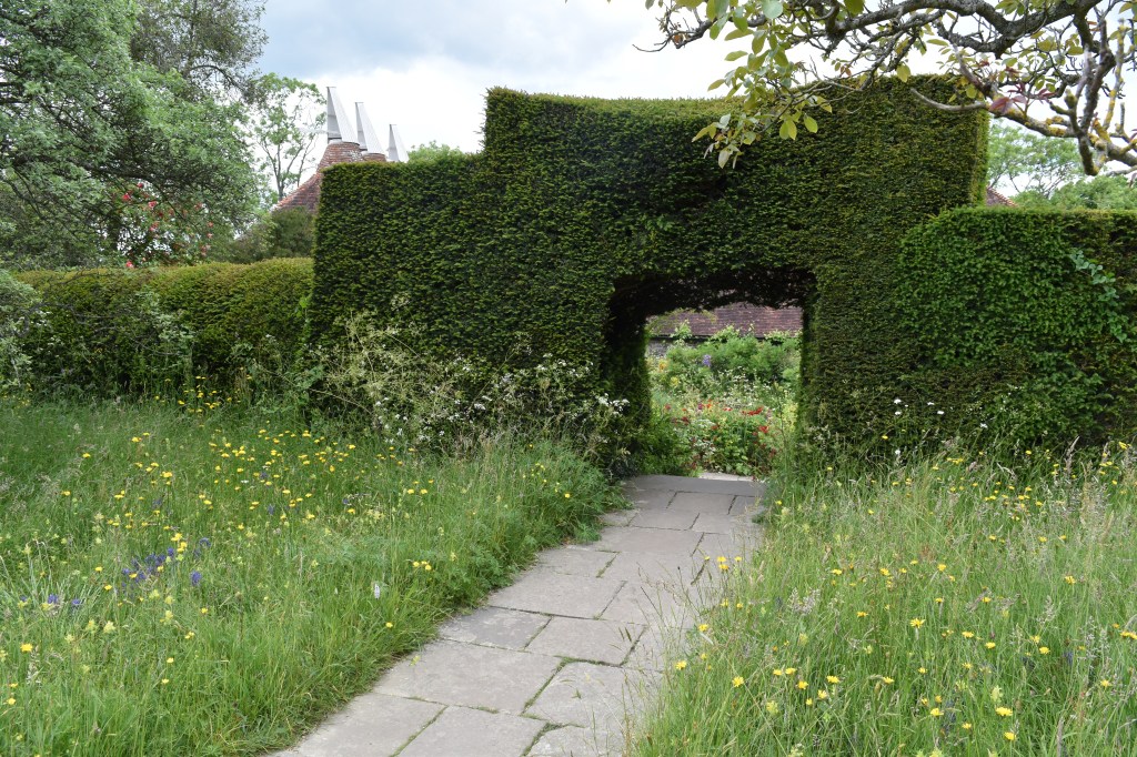 Great Dixter, Sussex, England - The front meadow influenced a garden trend towards wildness in gardens. Grassy meadow with wildflowers shown here against the backdrop of an evergreen arch that leads into another garden beyond