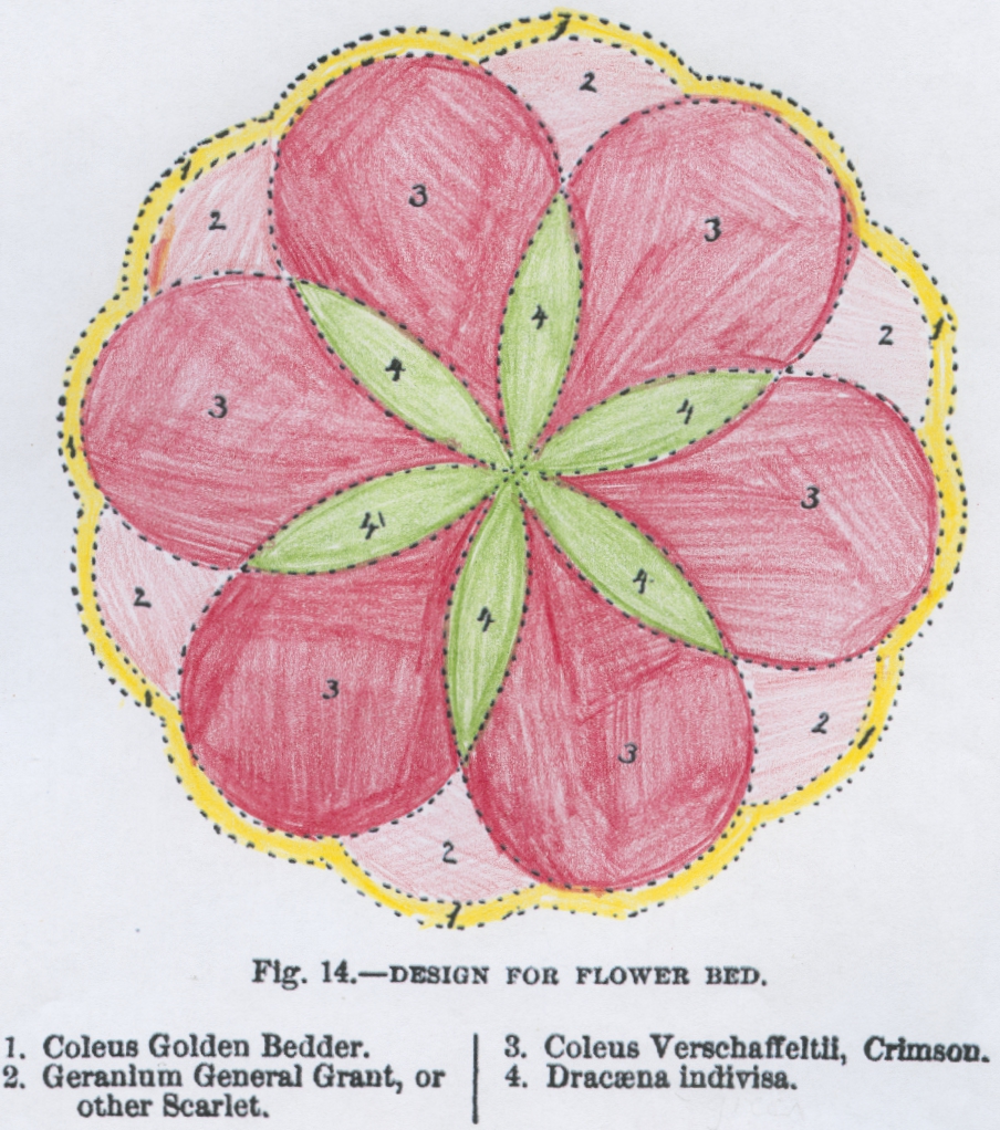 A hand colored design for a Victorian carpet bedding pattern - 1800's. Red, green and yellow patterns that resemble a flower pattern and would have contained blocks of geranium, coleus, and dracaena