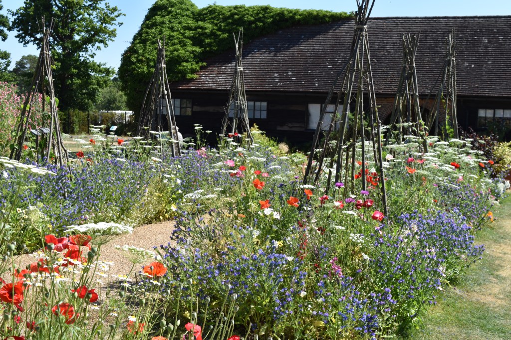 The Trial Garden at Wisley in early July with pretty wildflower flowers and plant structures outside a building. 