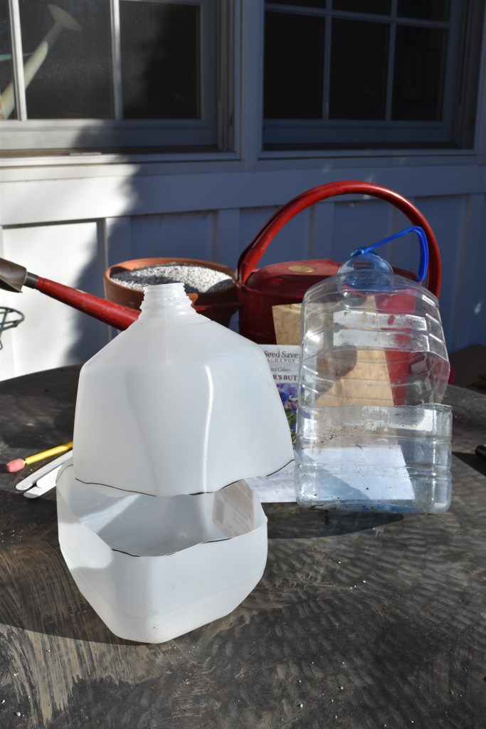 A large plastic milk jug cut around its middle ready for filling with potting soil
