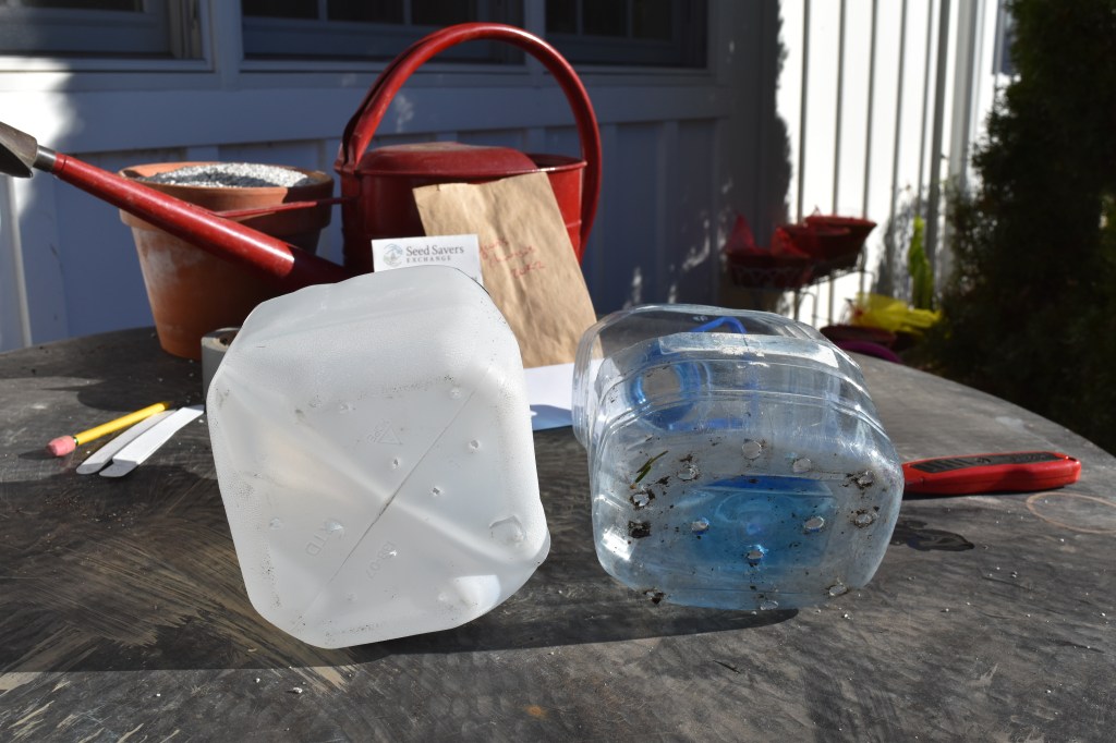 Two plastic food jugs with holes made in their bottoms for drainage