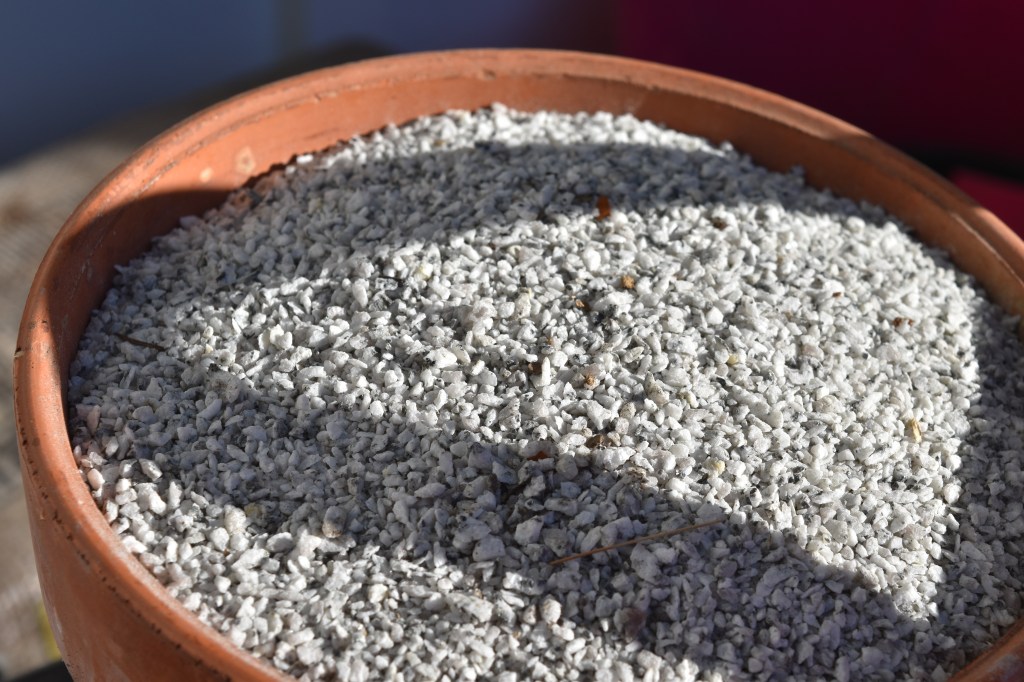 White chicken grit in a terracota pot
