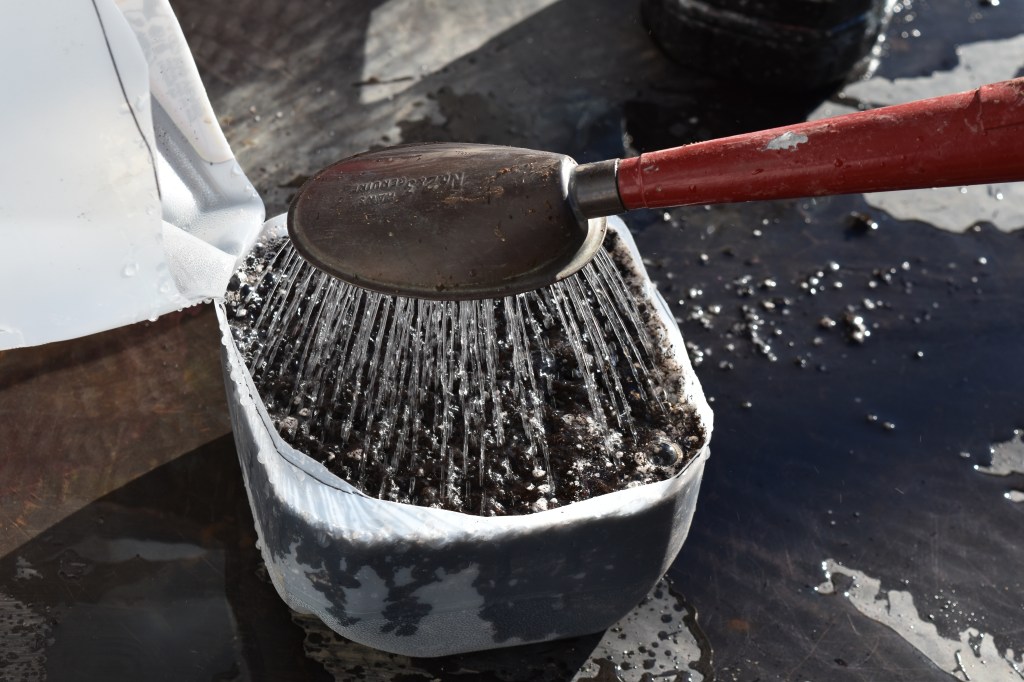 A red watering can with a fine spray being used to water potting mix in a plastic container