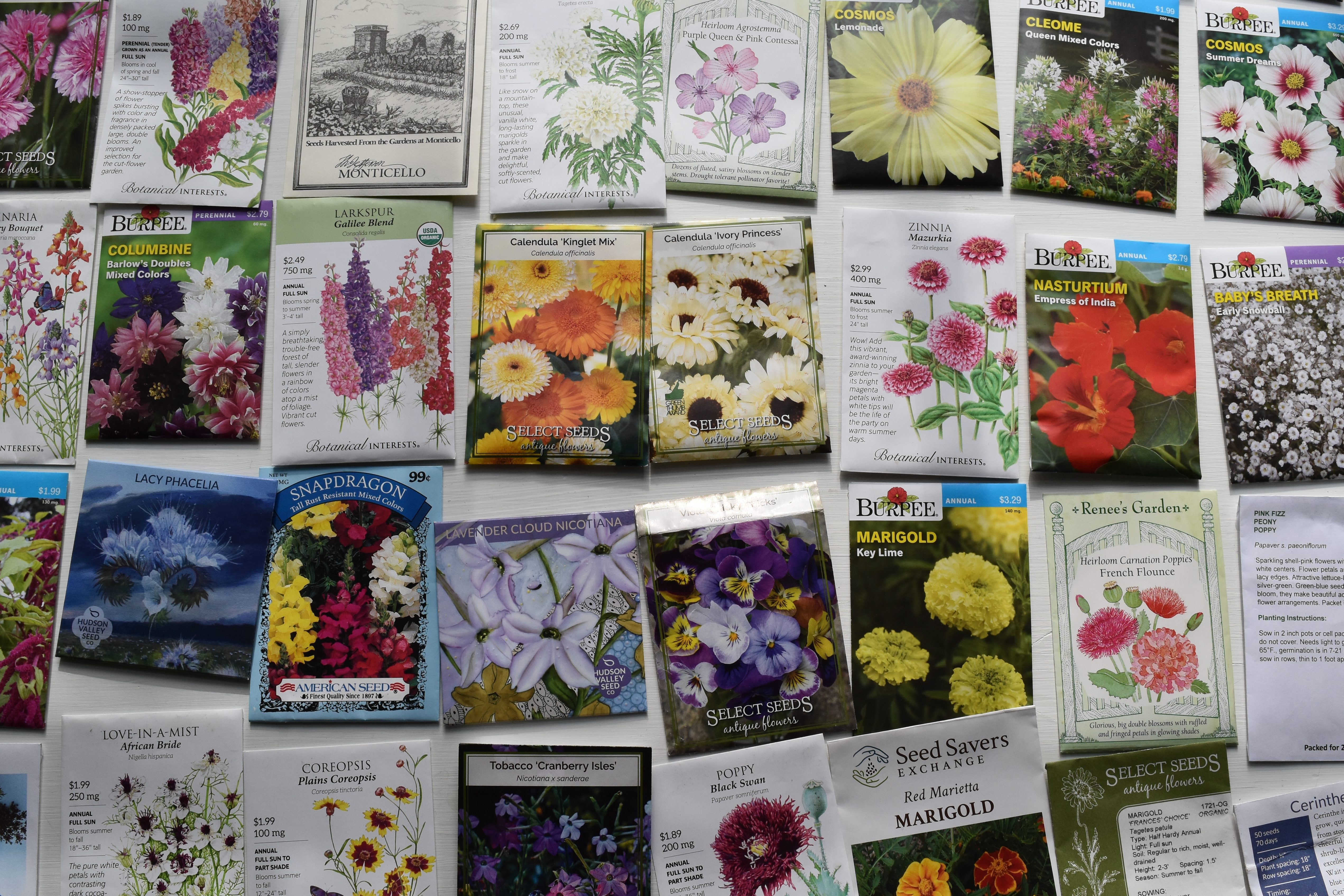 Seed packets for flowers