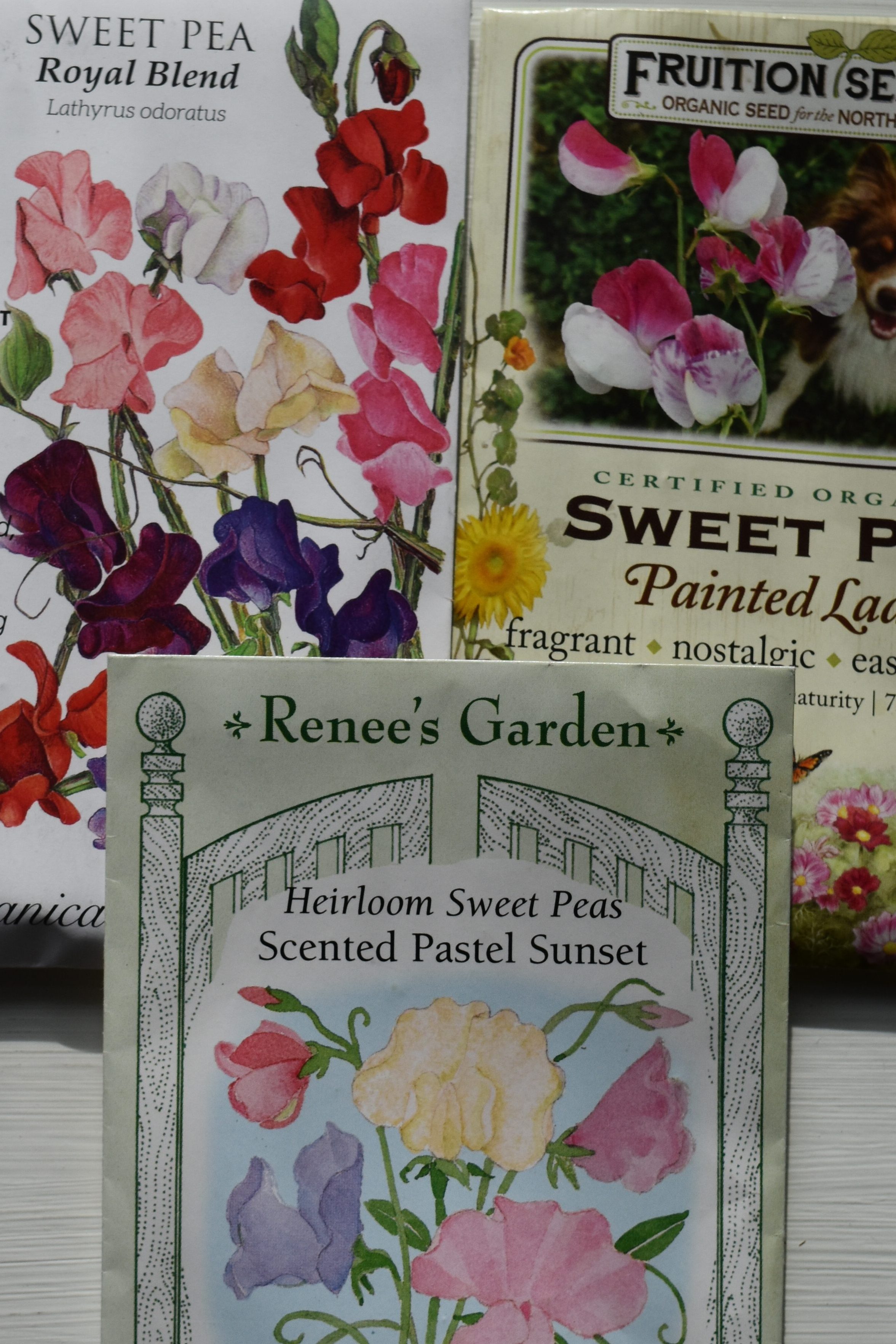 Seed packets of fragrant sweet pea flowers