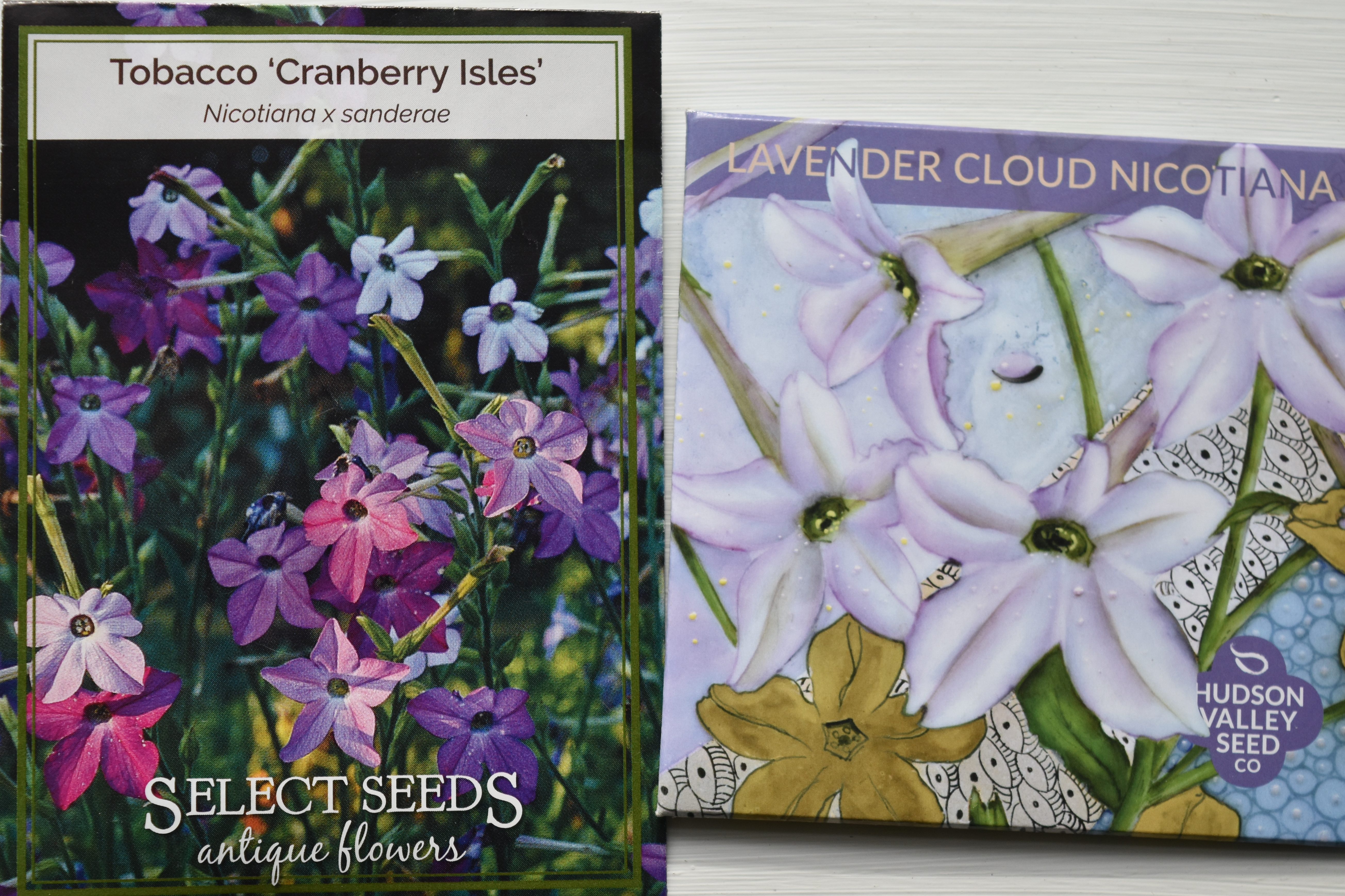 Flowering Tobacco or Nicotiana 'Cranberry Isles' from Select Seeds and 'Lavender Cloud' from Hudson Valley Seed Co.