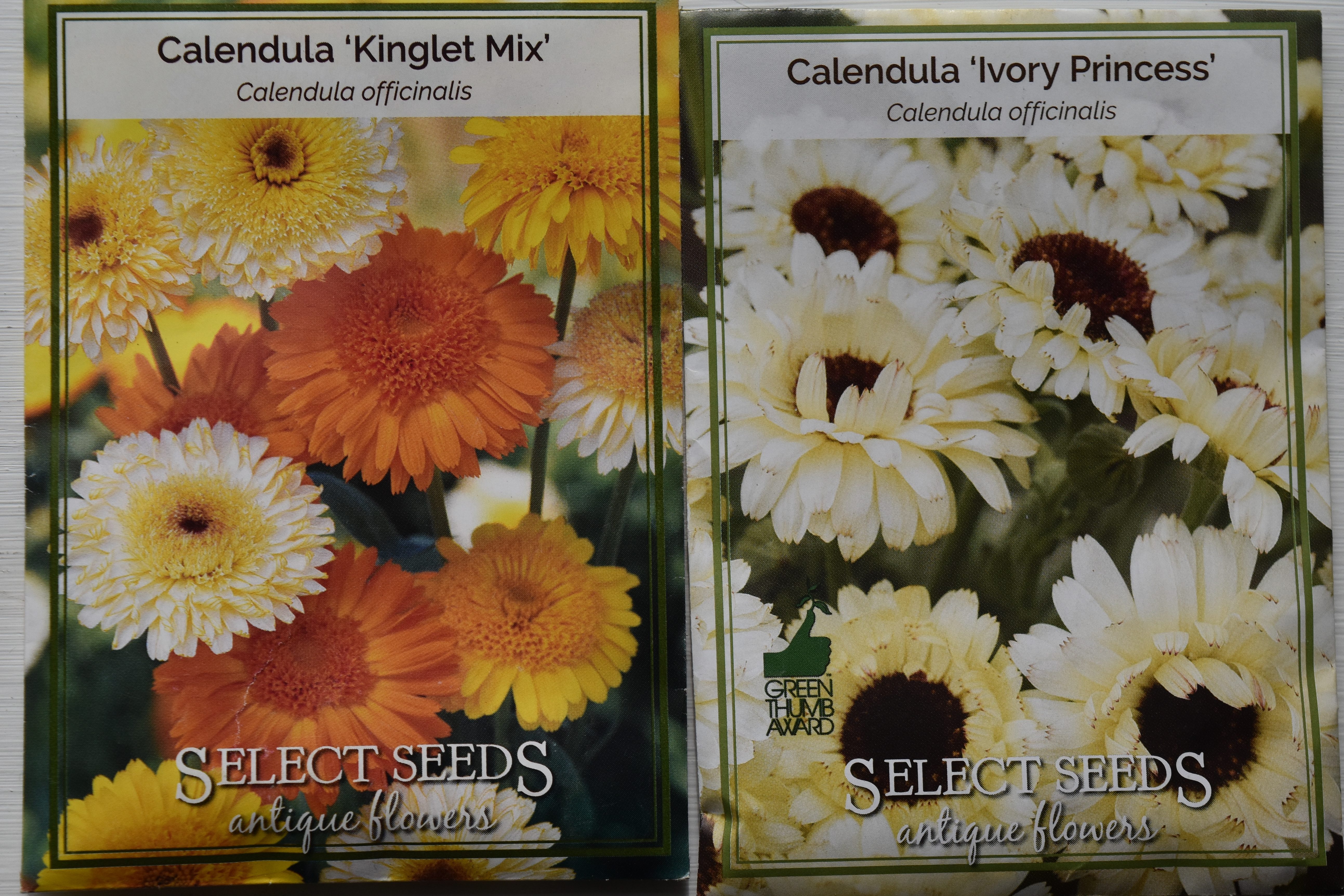 Calendula, sometimes called English Marigold, or Pot Marigold, 'Kinglet Mix' and 'Ivory princess' from Select Seeds
