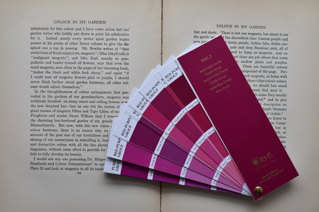 RHS Color Swatch in Red-purple and a black and white page of writing behind