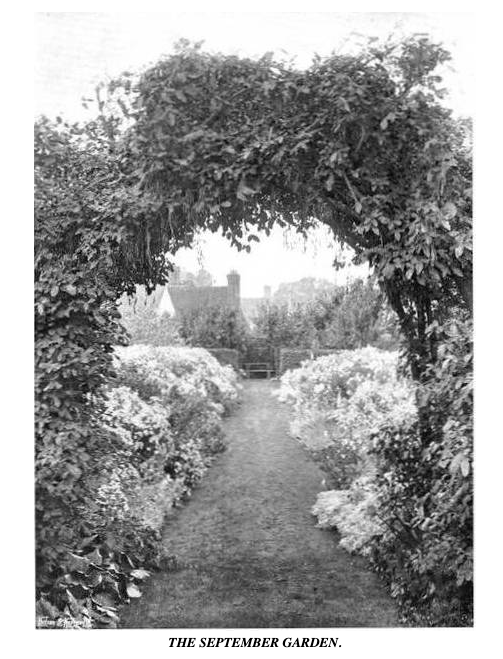 Black and White photo of an arch leading into a flowery garden in September with asters