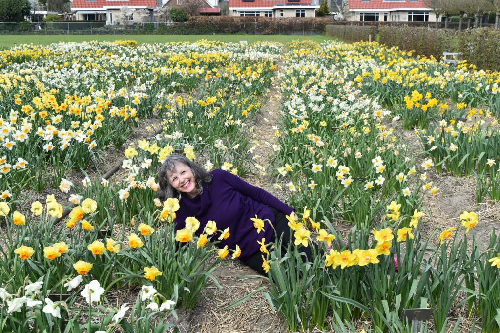 Jenny Rose Carey in a field of daffodils in Holland
