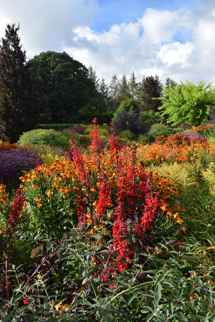 Rosemoor Garden Devon England with red and orange flowers hot colors
