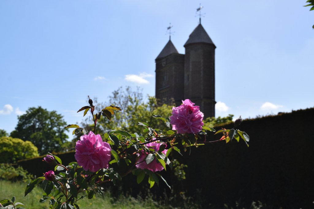 Roses frame the Sissinghurst tower
