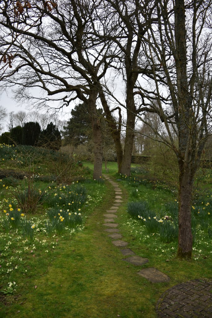 Primrose Path at Longbarn Gardens in Kent England