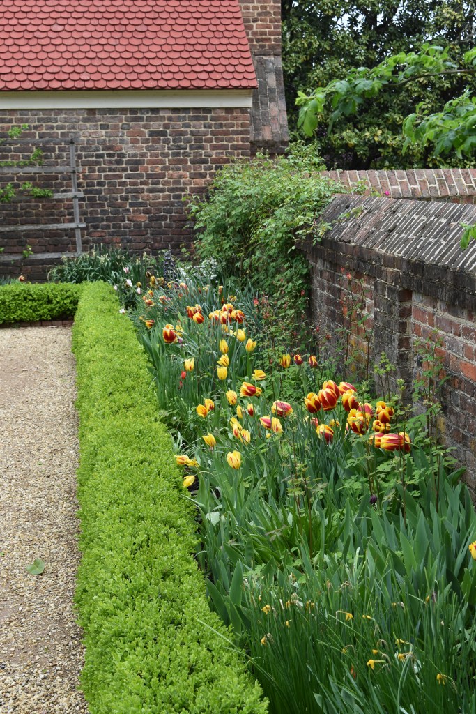 Mount Vernon spring flower bed with red and yellow tuliups