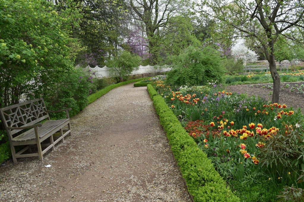 A gravel-lined path and a wooden bench in the Upper Flower Garden at Mount Vernon