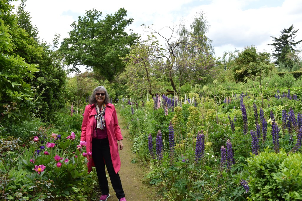 Jenny Rose Carey in a pink raincoat in the garden with purple and pink lupins at Munstead Wood