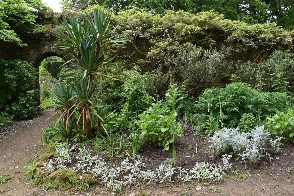 Part of the main hardy flower border in May 2024 - photo by Jenny Rose Carey - at Munstead Wood