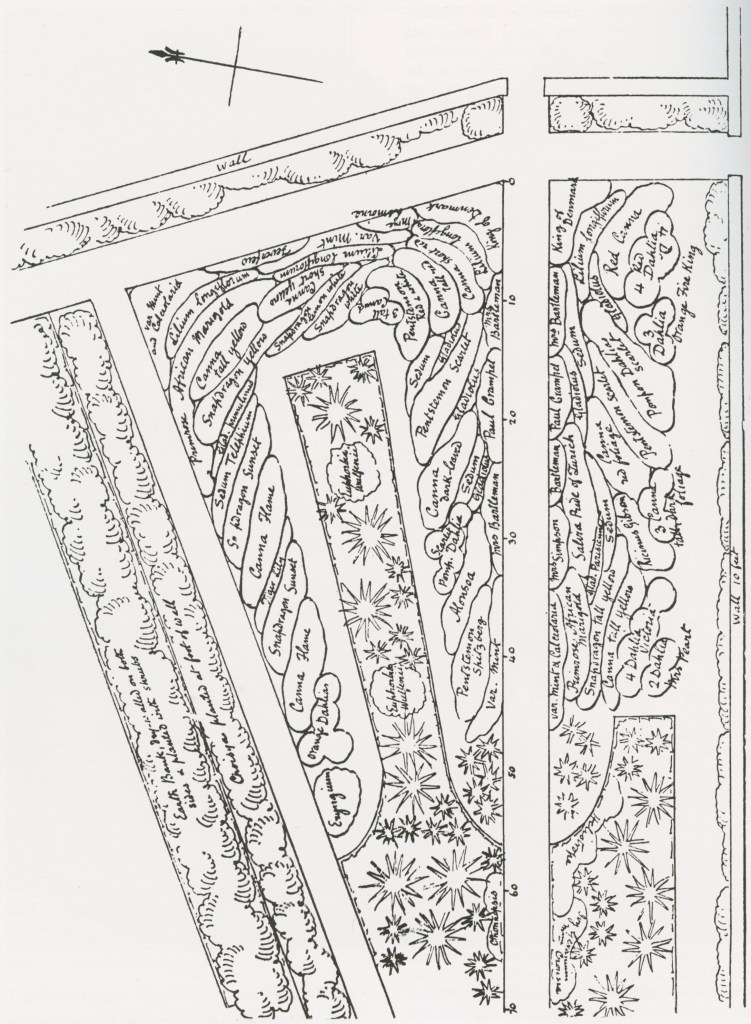 A garden plan by Gertrude jekyll of her garden of summer flowers