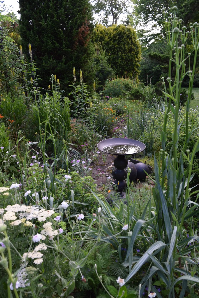 Northview Dry Garden and bird bath in summer