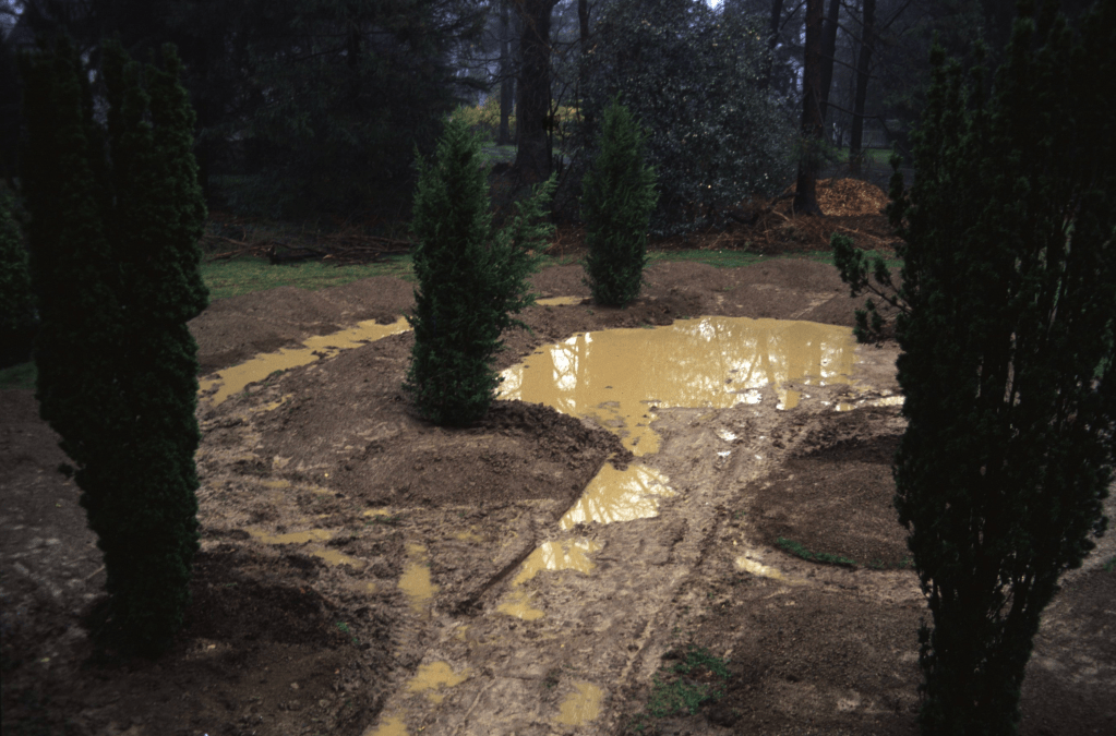 Northview Dry Garden after a heavy rain looks like a swimming pool during installation in 2004