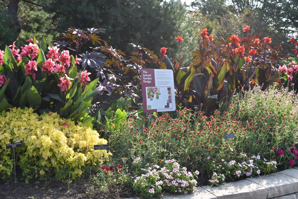 Annual plants are used to colorful effect in this garden at the Minnesota Landscape Arboretum.