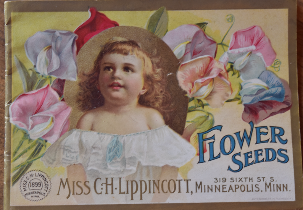 Carrie H. Lippincott flower Seed catalog from 1899 - Minneapolis, Minnesota