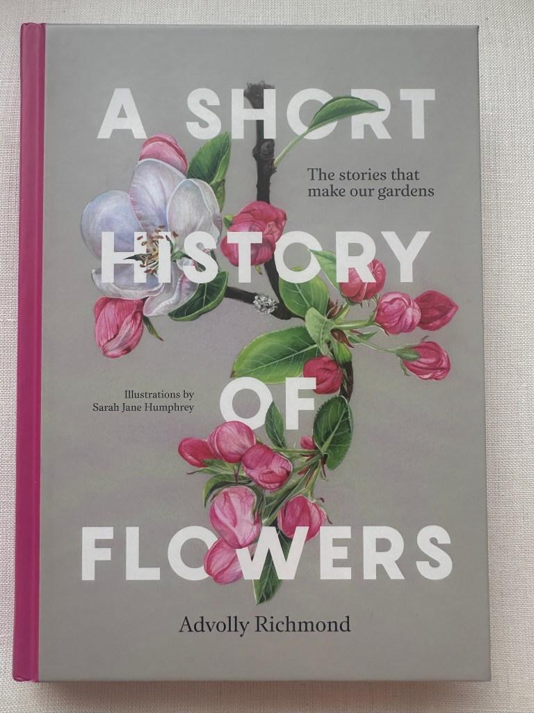 Book Cover A Short History of Flowers by Advolly Richmond, illustrated by Sarah Jane Humphrey - gray background with lovely pink appleblosson and pink spine