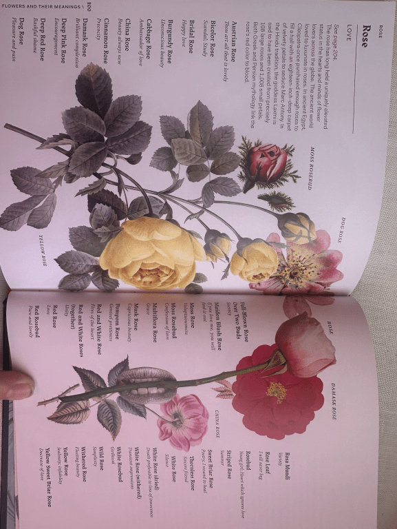 The 'Rose' page in Flowers and Their Meanings by Karen Azoulay shows the intricacy of the language of flowers in Victorian times