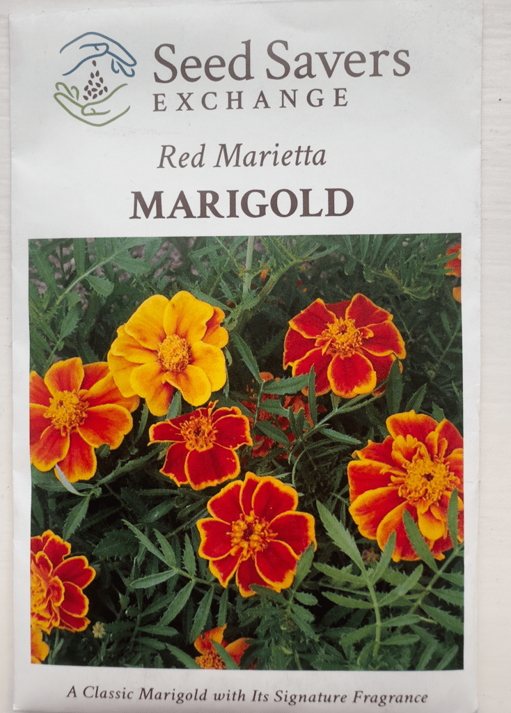 Red Marietta Marigold seed packet from Select Seeds.