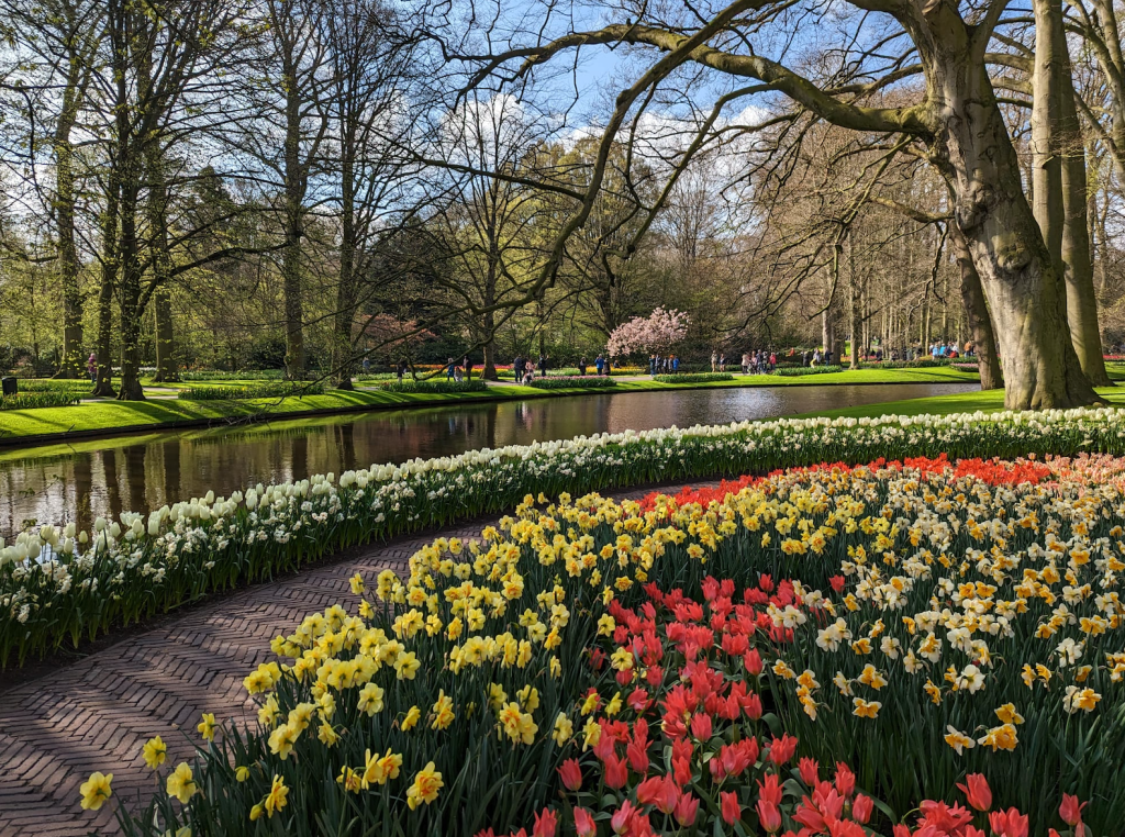 A spring garden full of flowers at Keukenhof in the Netherlands.