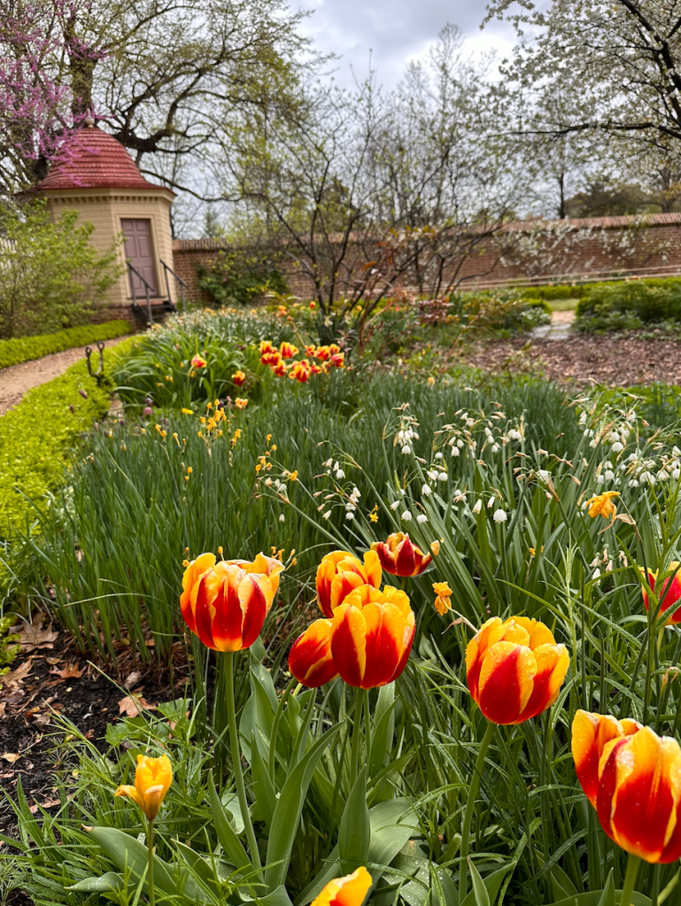 The Upper Flower Garden at George Washington's Mount Vernon in Virginia looks fabulous in the spring.