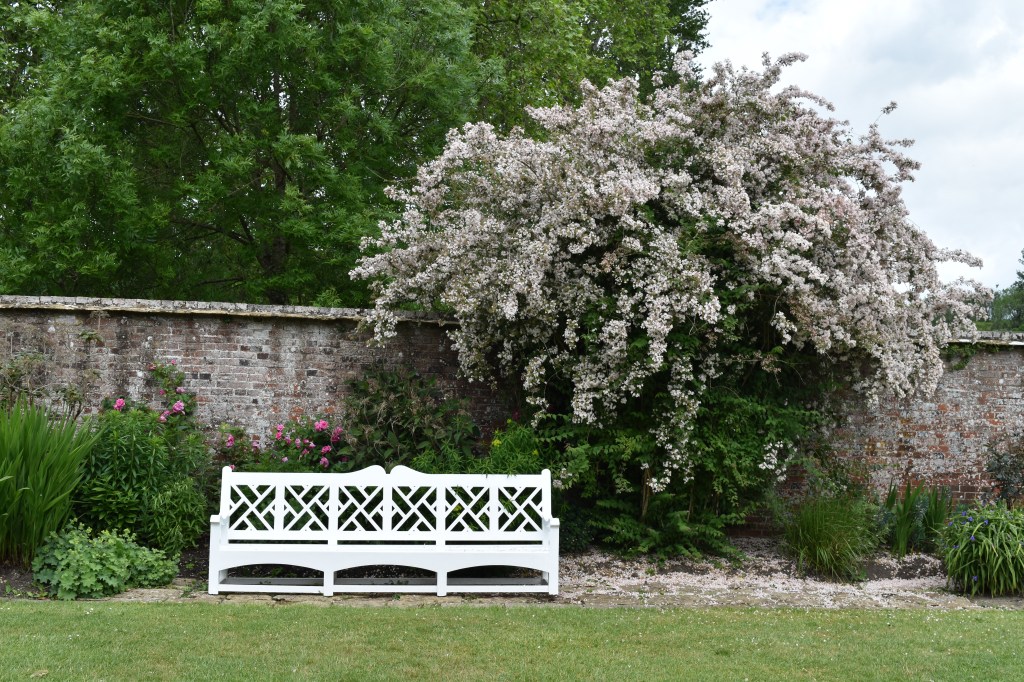The inviting white bench with wall behind and grass path in front. Plants surround the bench