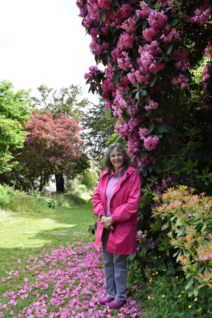 Jenny Rose Carey wearing pink clothes next to a pink Rhododendron that is dropping some petals in a puddle on the grass below