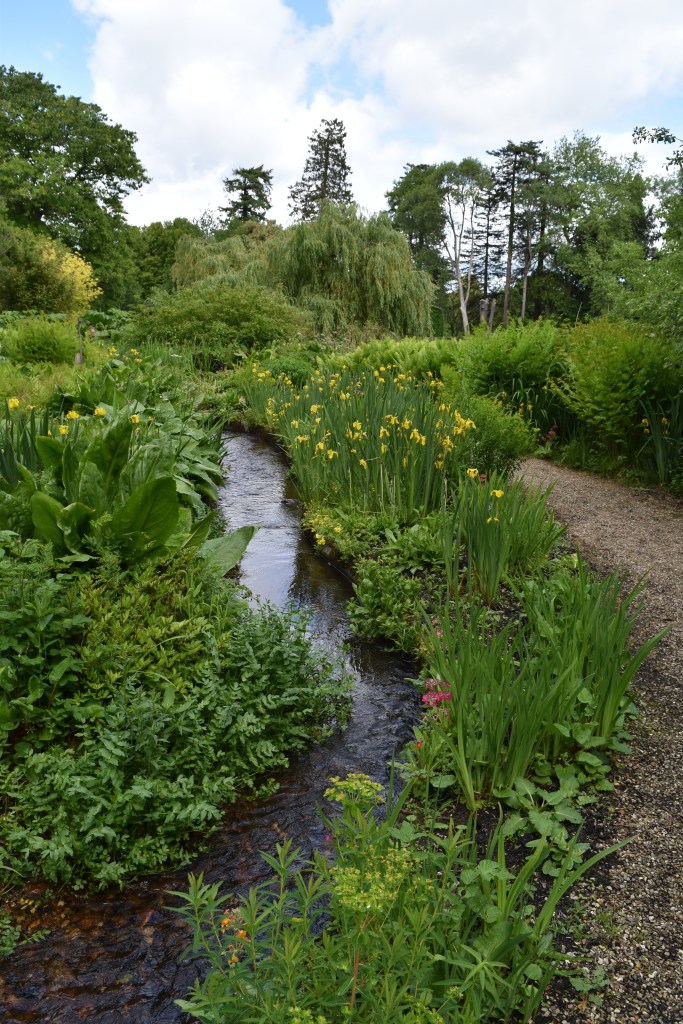 A stream meanders through the bog garden at Forde Abbey. Yellow irises flank the stream