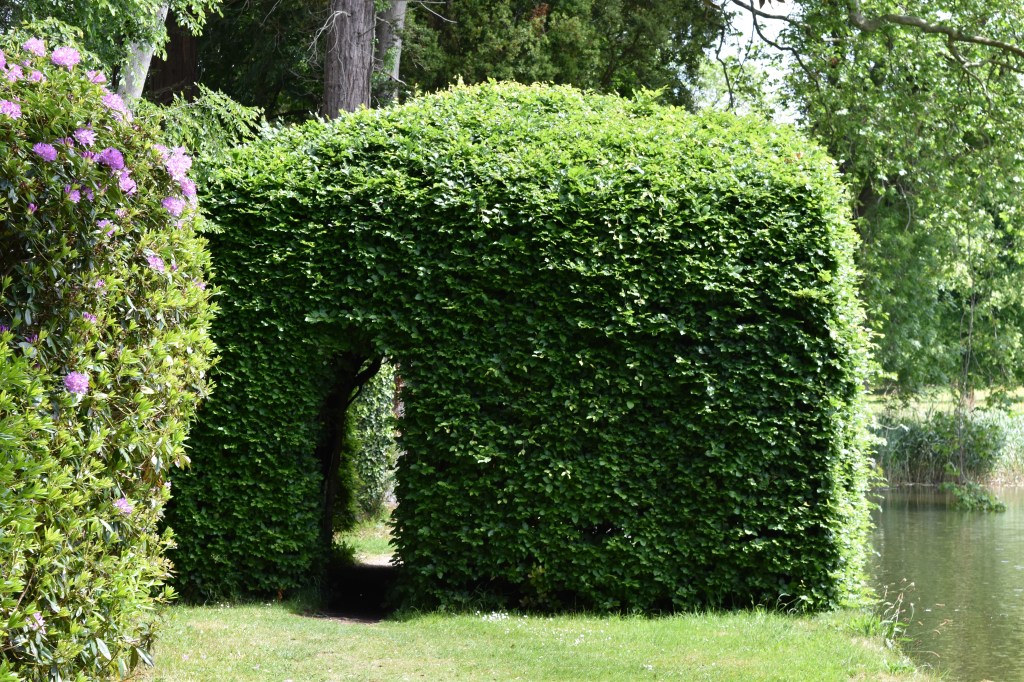 A tree house with an arched door - made out of trimmed beech trees