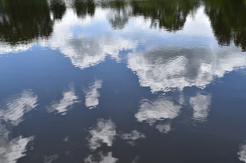 White puffy clouds are reflected in the Great Pond at Forde Abbey