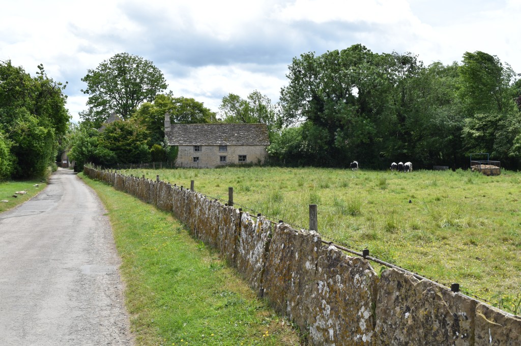 An English Lane with pasture to the right and an old stone cottage beyond. An unusual split stone fence keeps the animals away from the lane.