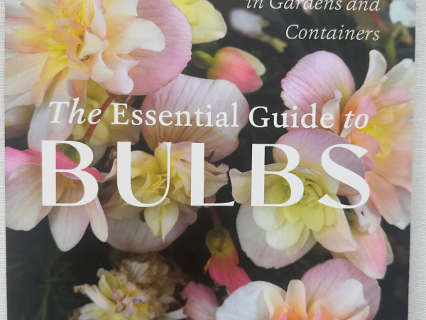 Book Cover - The Essential Guide to Bulbs - Jenny Rose Carey