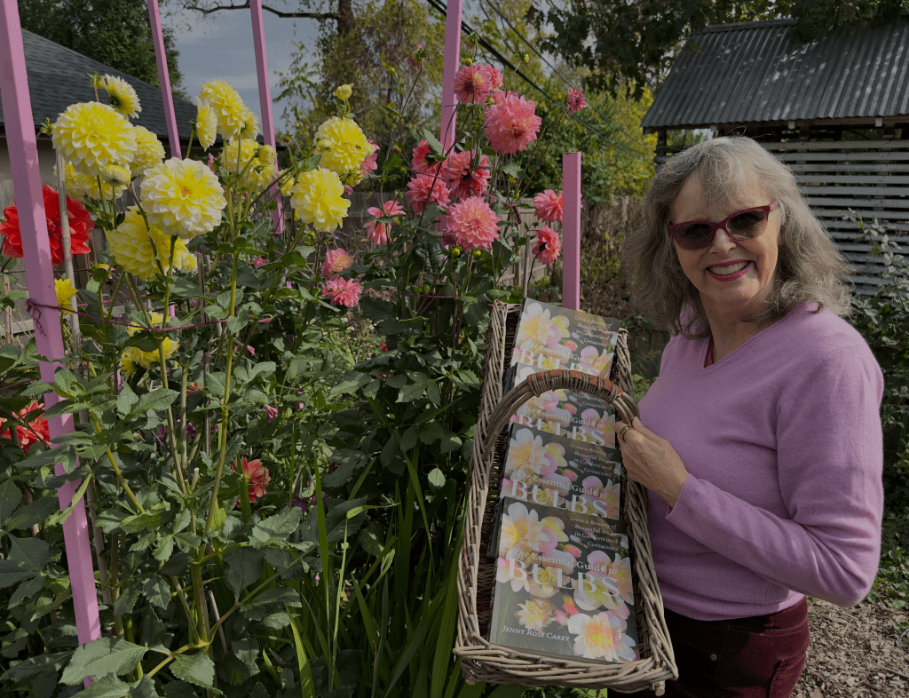 Jenny Rose Carey and her new book - The Essential Guide to Bulbs next to her dahlias at Northview Garden in Ambler PA