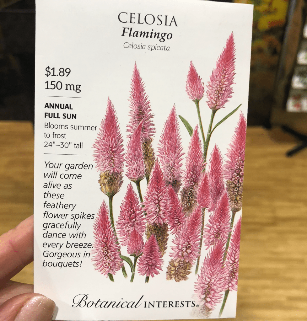 Seed packet for Flamingo Celosia from Botanical Interests