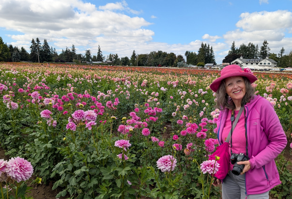 Jenny Rose Carey in a field of pink dahlias at Swan Island Dahlias in Canby Oregon. Jenny Rose is wearing a pink outfit to go with the flowers.