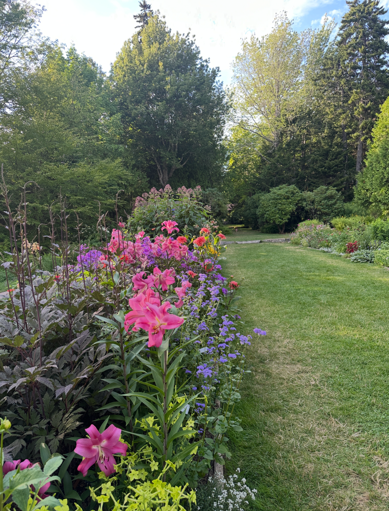 Thuja Gardens, Mount Desert, Maine with paired perennial borders either side of a central grass path. Bright pinks, dark foliage, and blues and lime greens.